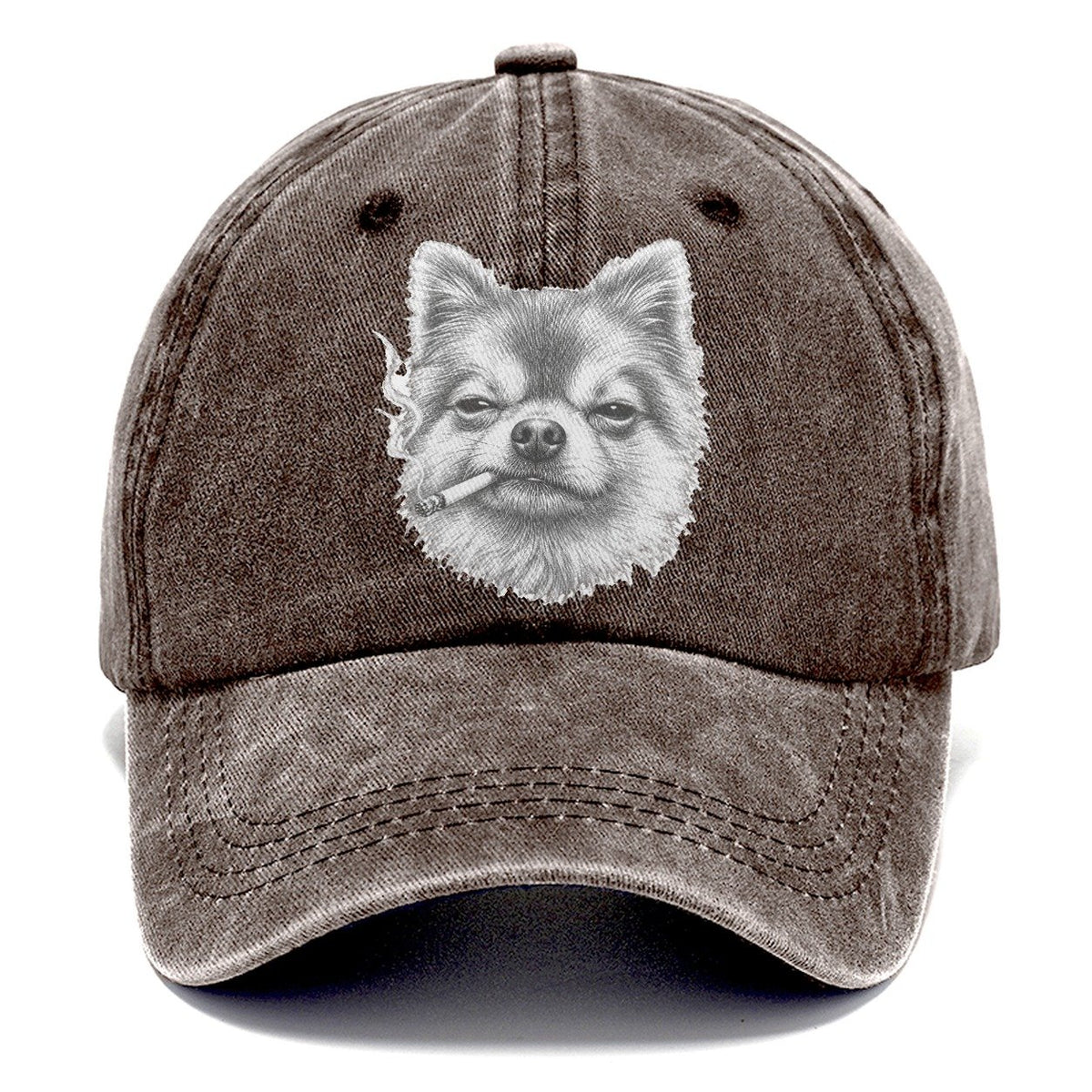 Pomeranian A Lit Cigarette Smoking Dogs Smoking Dogs Portraits Classic Cap – Brown