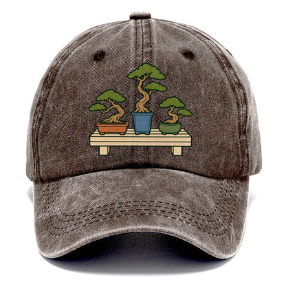 Bench Of Three Pots Bonsai Classic Cap – Brown