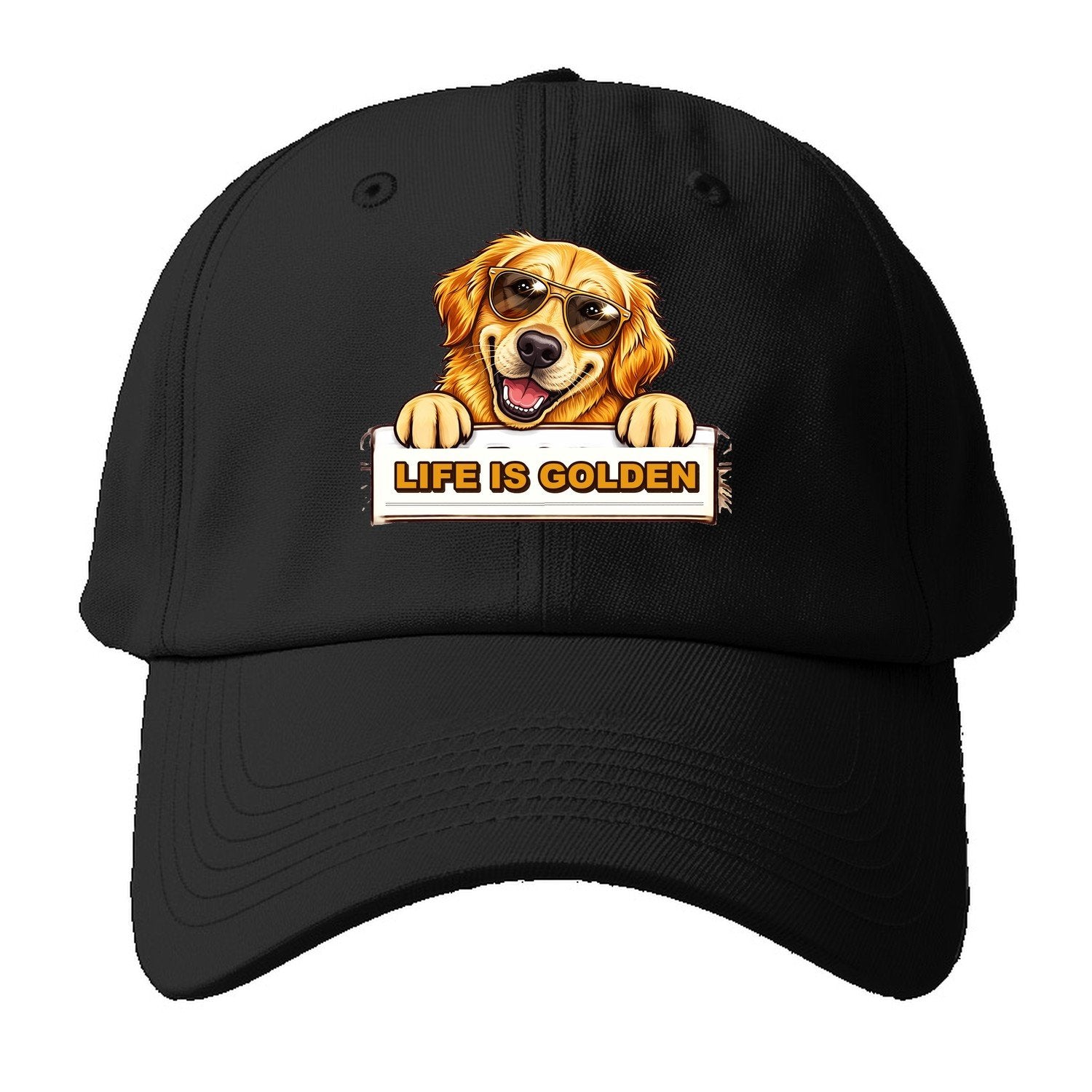 Life Is Golden Retriever Baseball Cap – Black