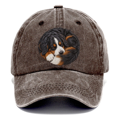 Bernese Round Hearth Nap Pastimes Companions Classic Cap – Brown