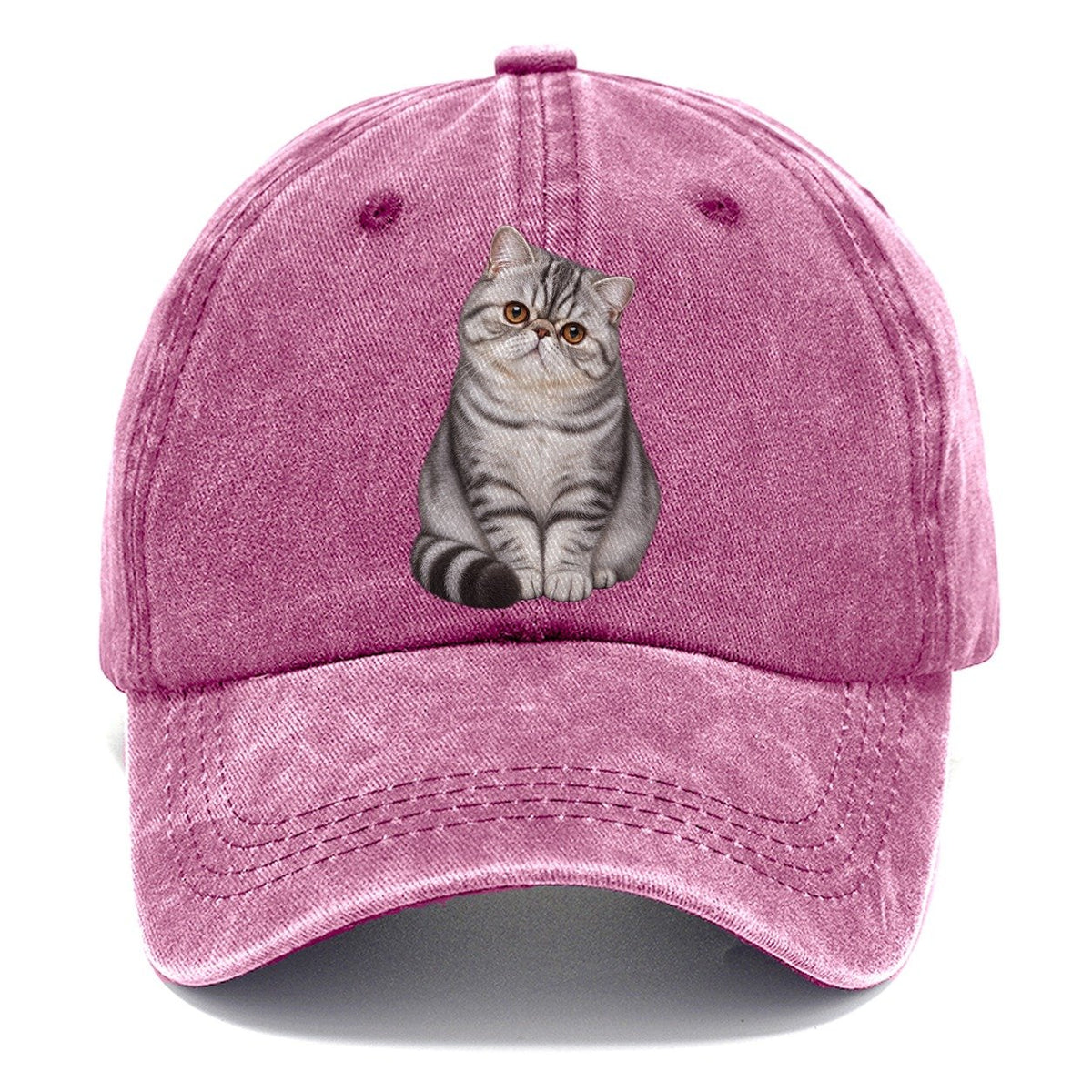 Exotic Shorthair Seated Portrait Realistic Cat Portrait Classic Cap – Dusty Rose