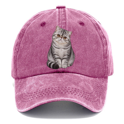 Exotic Shorthair Seated Portrait Realistic Cat Portrait Classic Cap – Dusty Rose