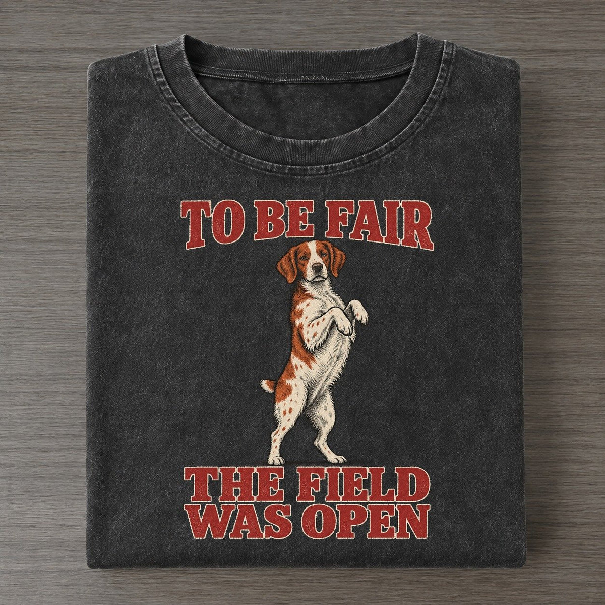 Brittany Dog Declarations Vintage T-shirt – Black