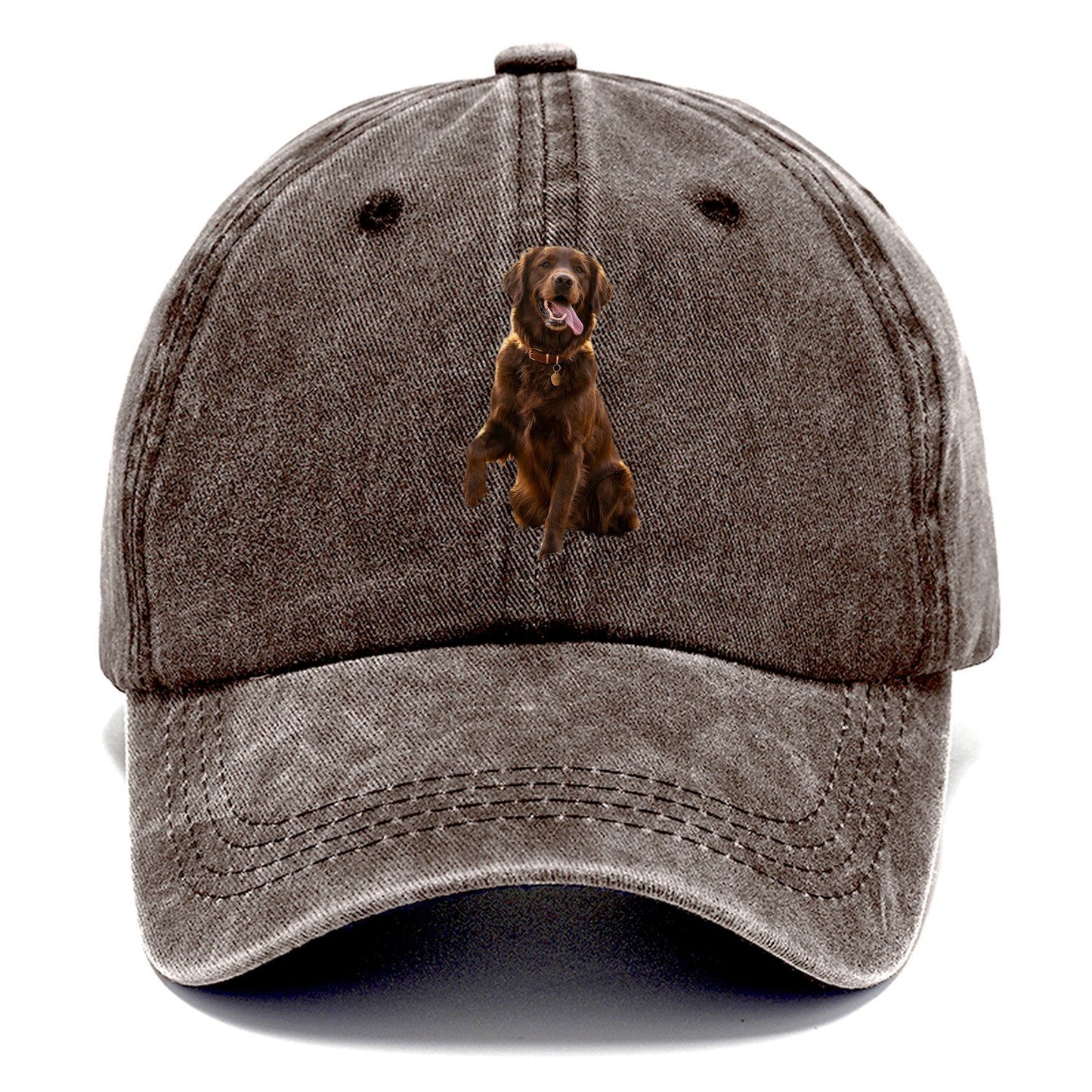 Dark Retriever Classic Cap – Brown