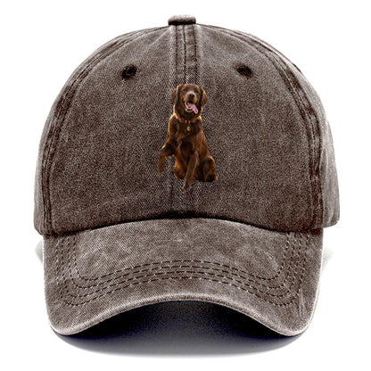 Dark Retriever Classic Cap – Brown
