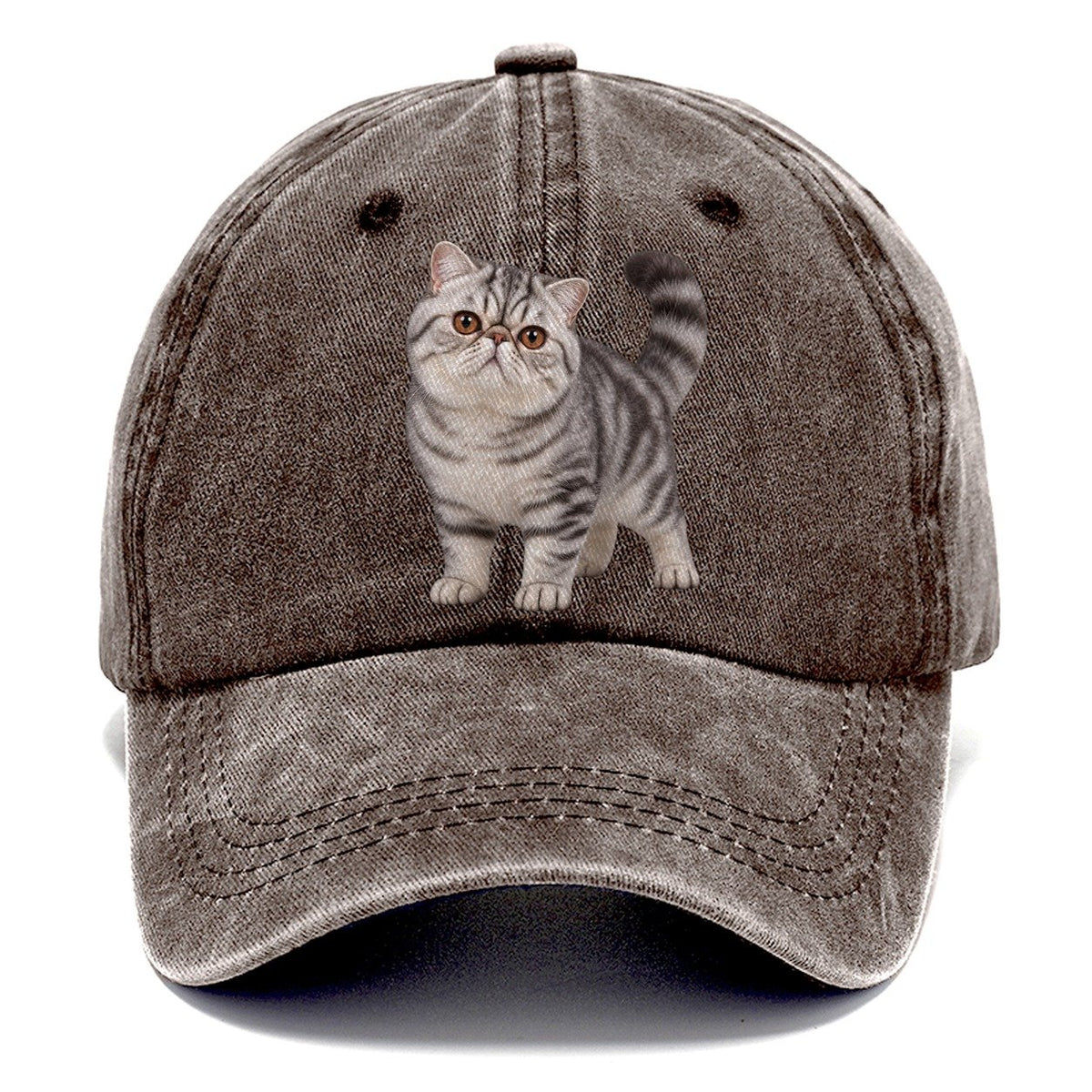 Exotic Shorthair Standing Three Quarter Realistic Cat Portrait Classic Cap – Brown