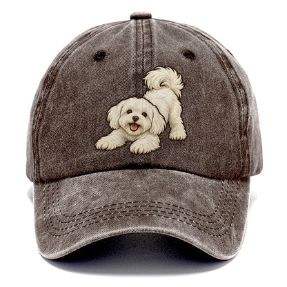 Maltese Play Bow Fan Favorites Classic Cap – Brown