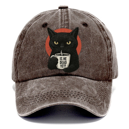 Is He Dead Yet Cat Classic Cap – Brown