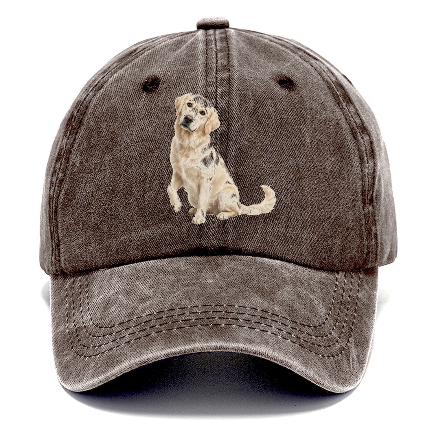 Seated Golden Classic Cap – Brown