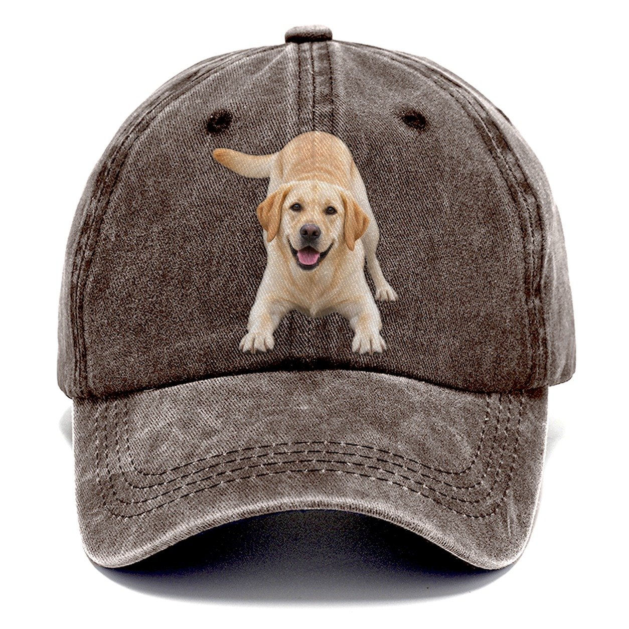 Labrador Retriever Play Bow Top Breeds Classic Cap – Brown