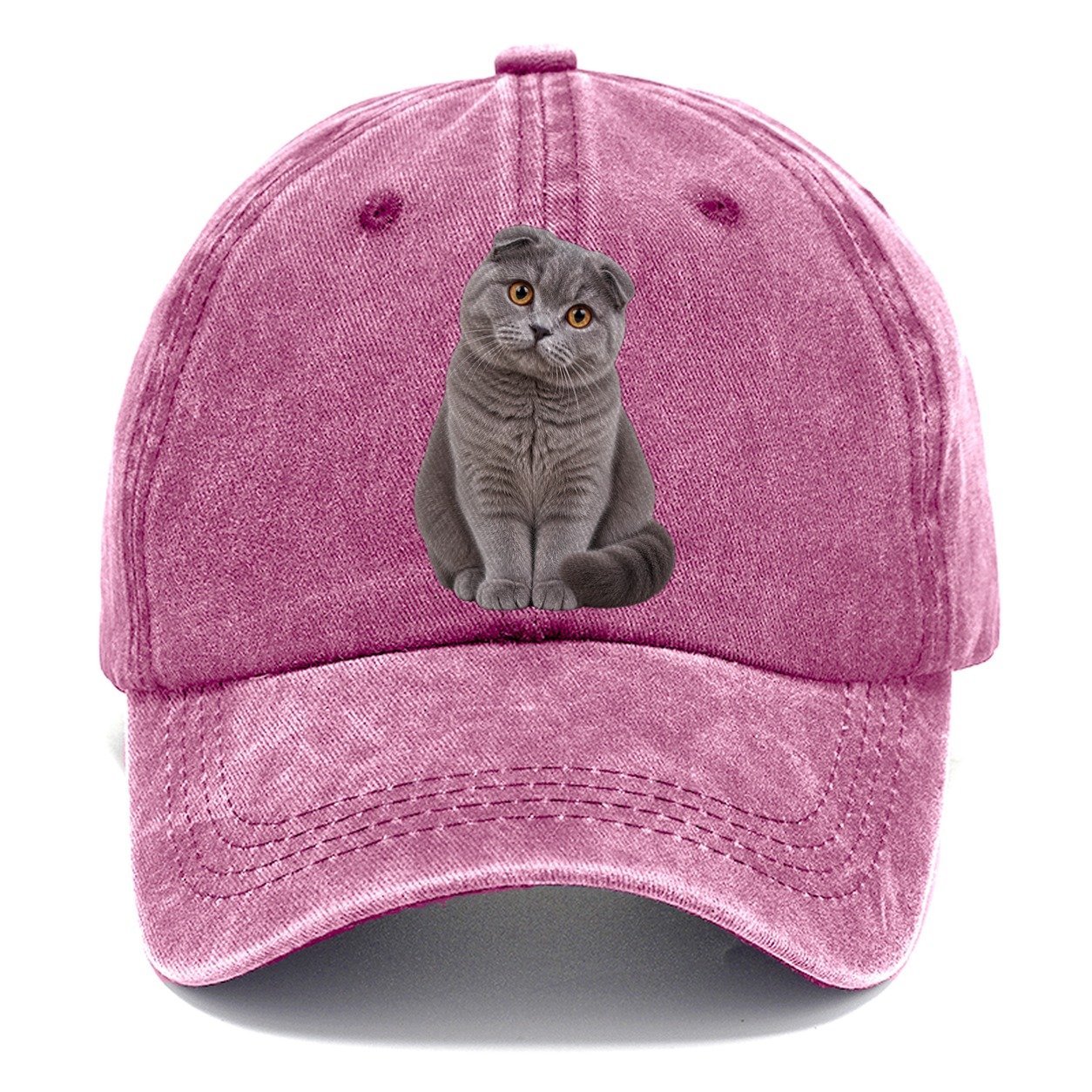 Scottish Fold Seated Portrait Realistic Cat Portrait Classic Cap – Dusty Rose