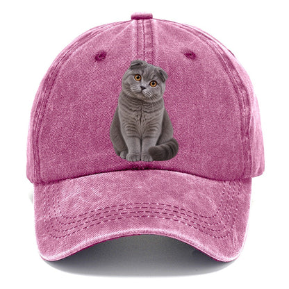 Scottish Fold Seated Portrait Realistic Cat Portrait Classic Cap – Dusty Rose