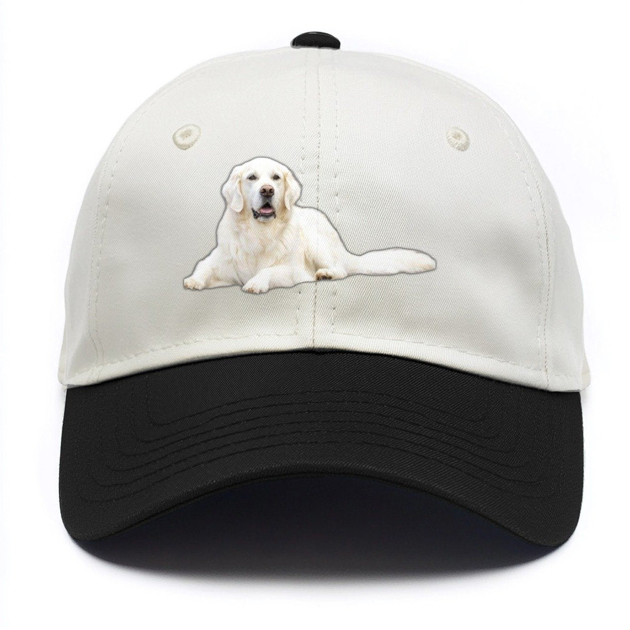 White English Cream Golden Retrievers Two Tone Cap – Black