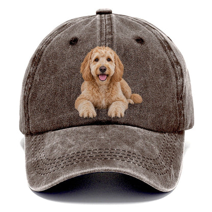 Goldendoodle Lying Down Top Breeds Classic Cap – Brown
