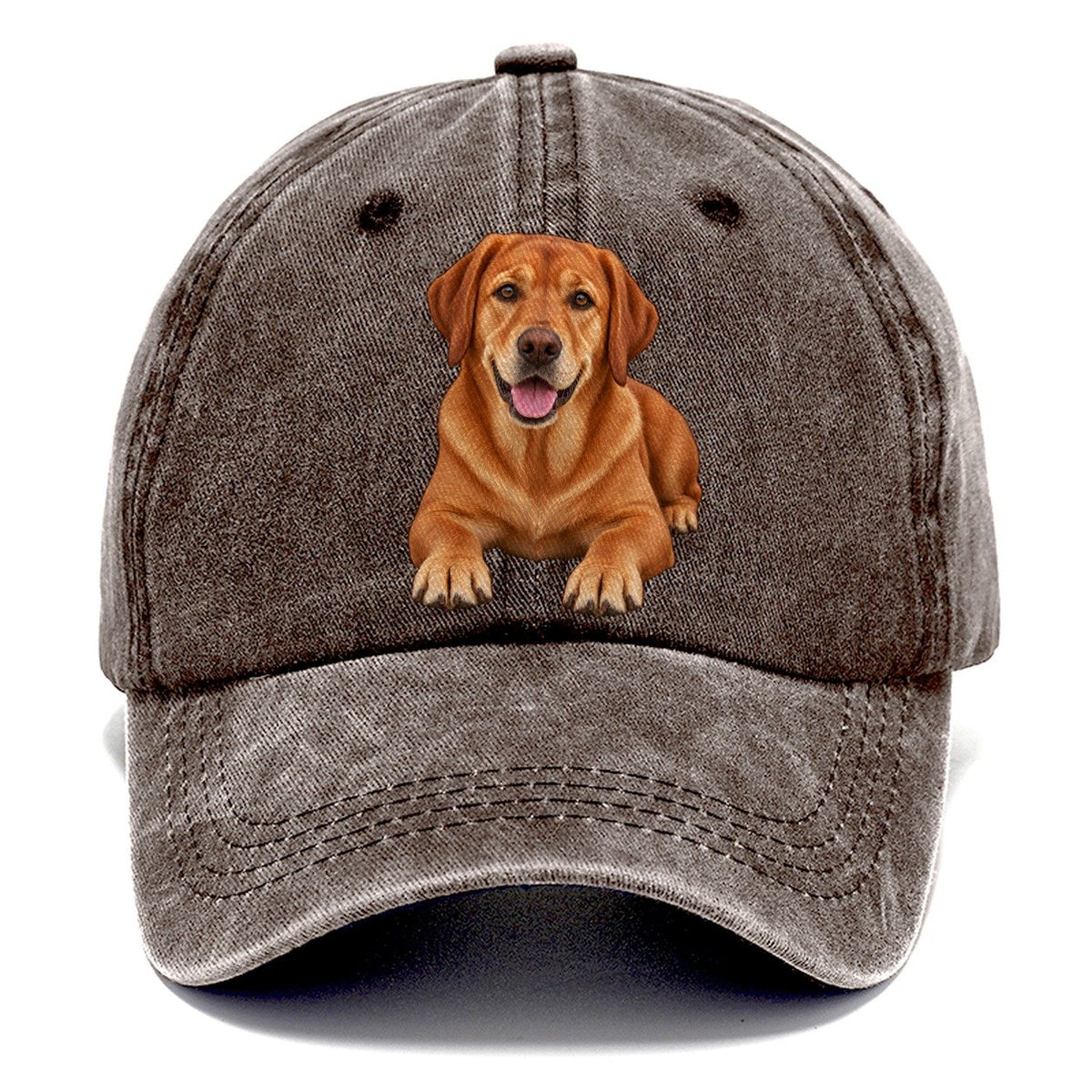 Fox Red Labrador Classic Cap – Brown