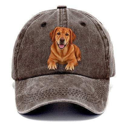 Fox Red Labrador Classic Cap – Brown