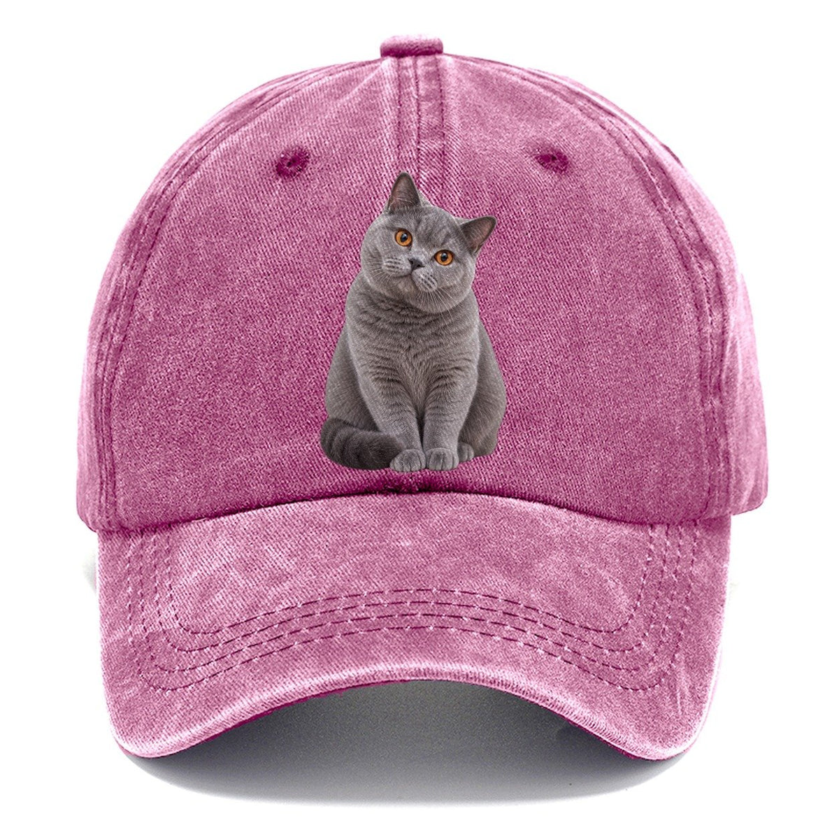 British Shorthair Seated Portrait Realistic Cat Portrait Classic Cap – Dusty Rose