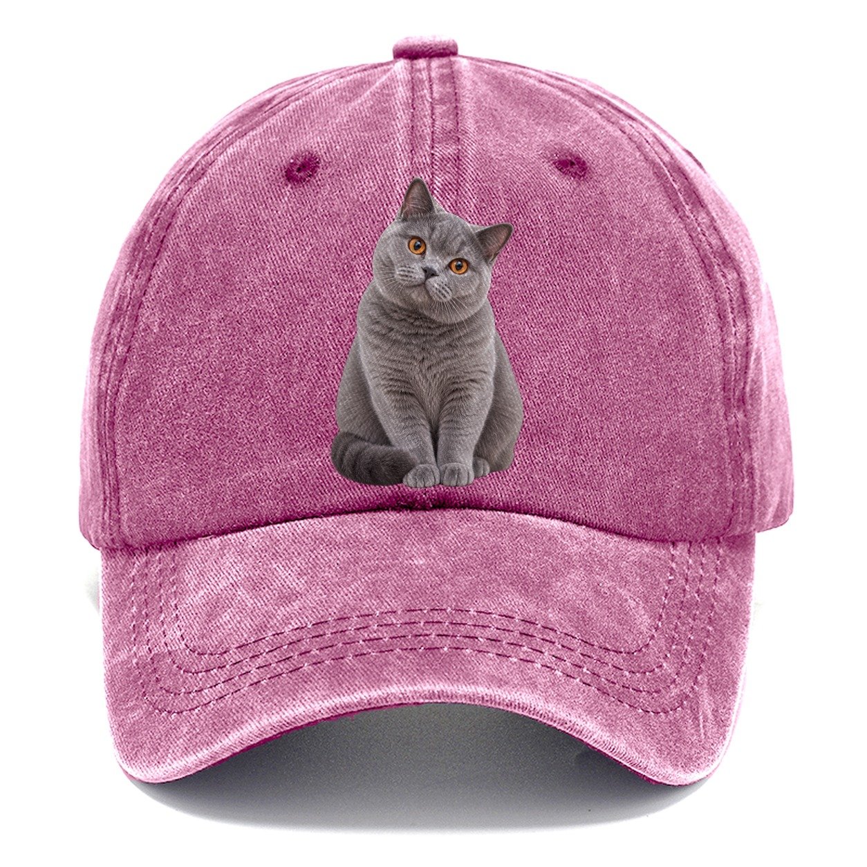 British Shorthair Seated Portrait Realistic Cat Portrait Classic Cap – Dusty Rose