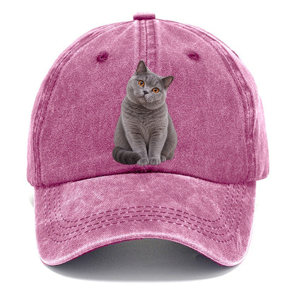 British Shorthair Seated Portrait Realistic Cat Portrait Classic Cap – Dusty Rose