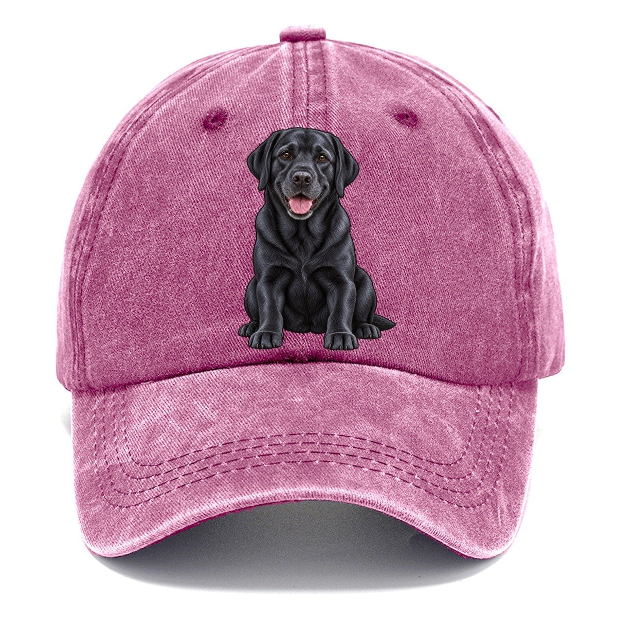 Black Labrador Sitting Classic Cap – Dusty Rose