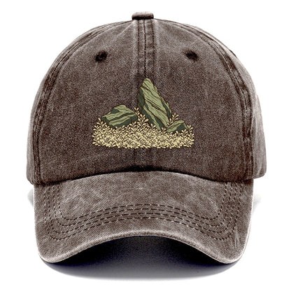 Stone And Carpet Aquascape Aquarium Keeping Classic Cap – Brown