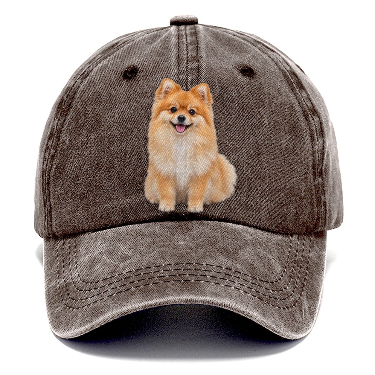 Pomeranian Sitting Top Breeds Classic Cap – Brown