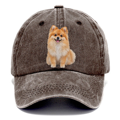 Pomeranian Sitting Top Breeds Classic Cap – Brown