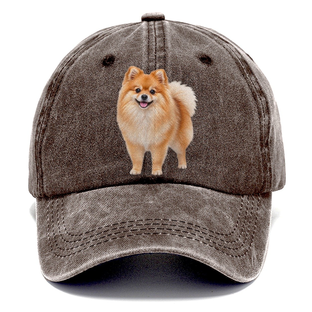 Pomeranian Standing Top Breeds Classic Cap – Brown