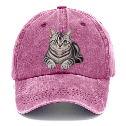 American Shorthair Reclining Paws Forward Realistic Cat Portrait Classic Cap – Dusty Rose