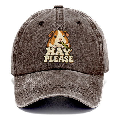 Hay Please Small Pet Logos Classic Cap – Brown