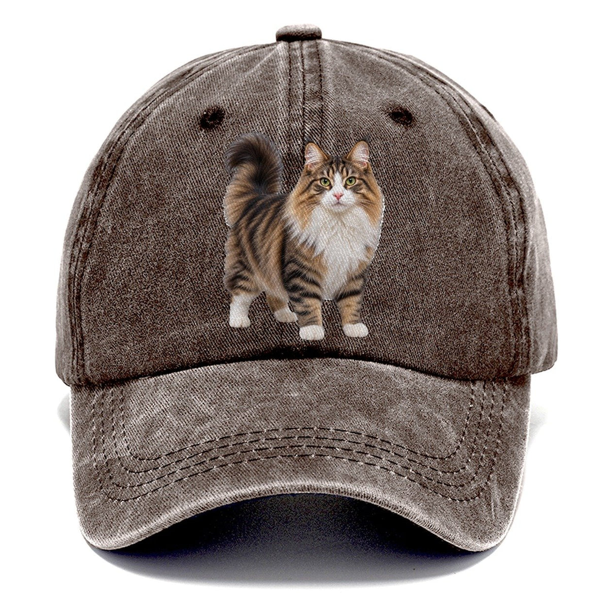 Norwegian Forest Cat Standing Three Quarter Realistic Cat Portrait Classic Cap – Brown