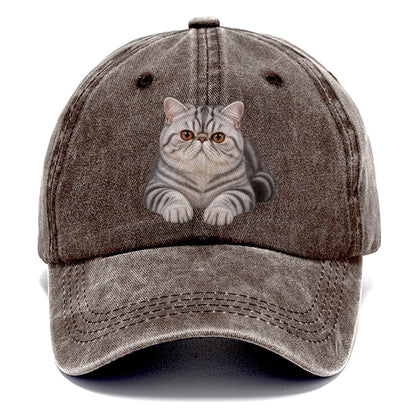 Exotic Shorthair Reclining Paws Forward Realistic Cat Portrait Classic Cap – Brown