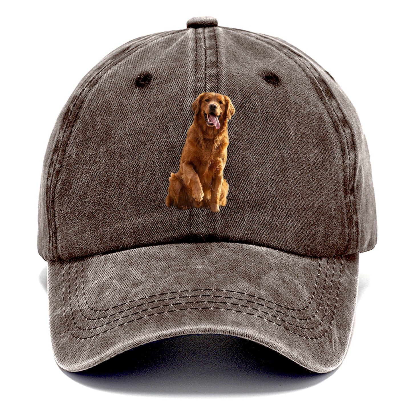 Autumn Retriever Classic Cap – Brown