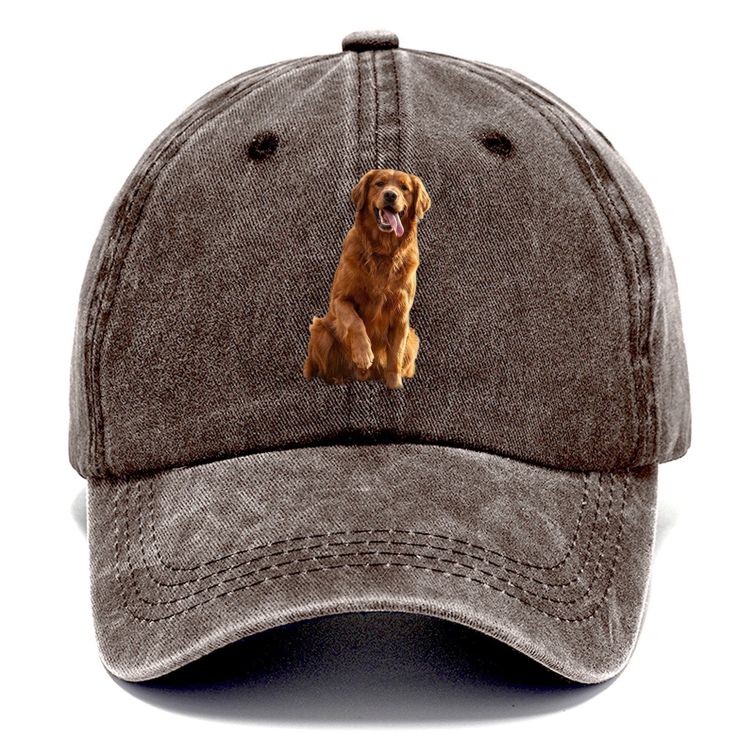 Autumn Retriever Classic Cap – Brown
