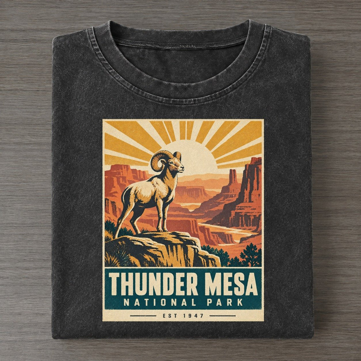 Thunder Mesa Nowhere National Parks Vintage T-shirt – Black