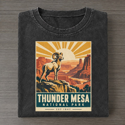Thunder Mesa Nowhere National Parks Vintage T-shirt – Black