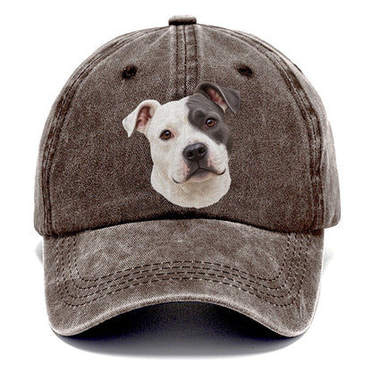 Staffy Curious Eye Patch Pastimes Companions Classic Cap – Brown