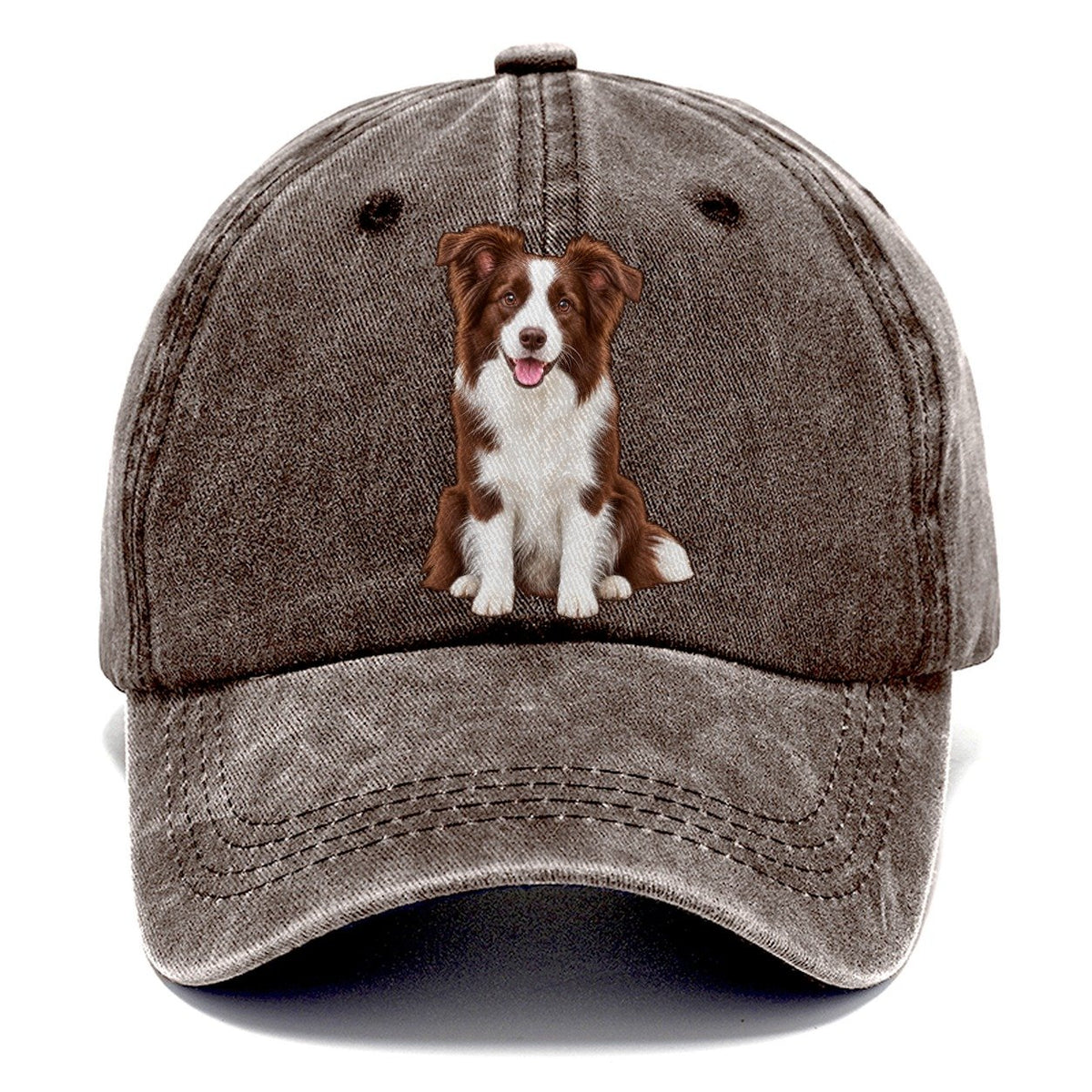 Brown And White Border Collie Classic Cap – Brown