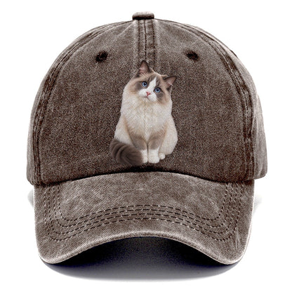 Ragdoll Seated Portrait Realistic Cat Portrait Classic Cap – Brown