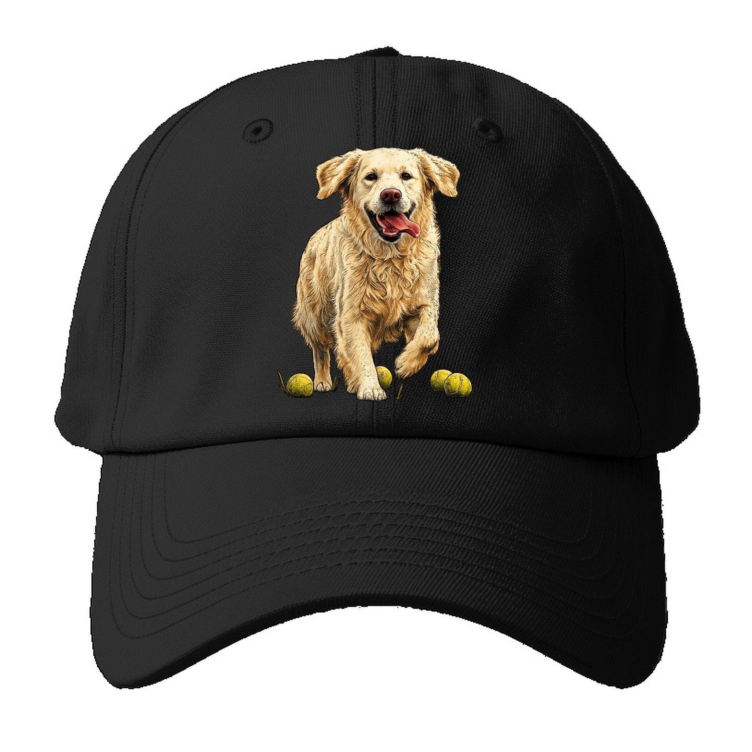 Ball Chaser Baseball Cap – Black