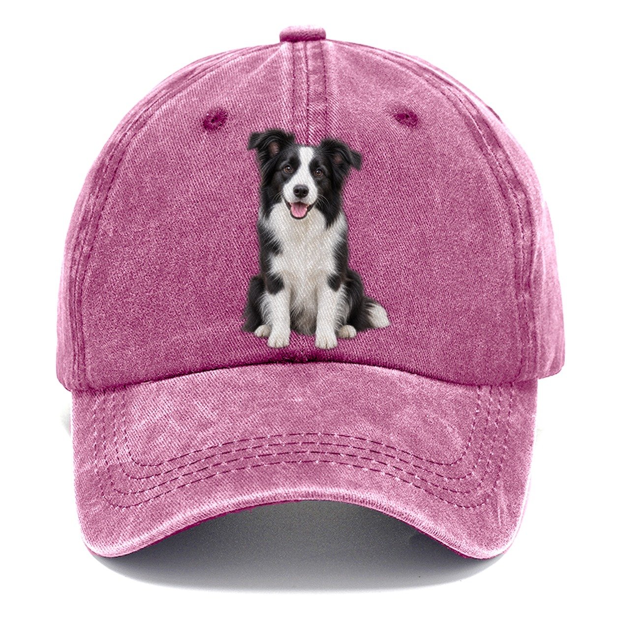 Border Collie Sitting Top Breeds Classic Cap – Dusty Rose