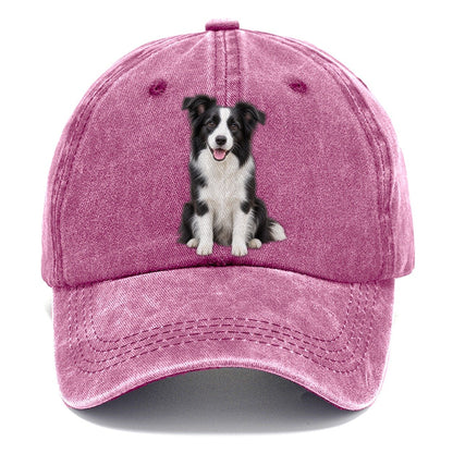 Border Collie Sitting Top Breeds Classic Cap – Dusty Rose