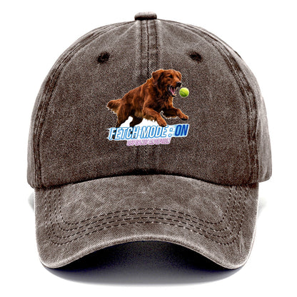 Fetch Mode Classic Cap – Brown