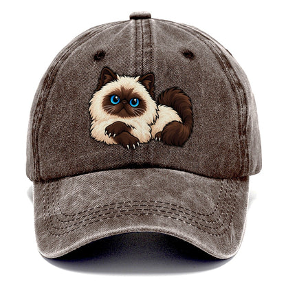 Himalayan Lounging Peeking Cats Classic Cap – Brown