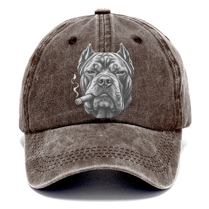 Cane Corso A Lit Cigar Smoking Dogs Smoking Dogs Portraits Classic Cap – Brown
