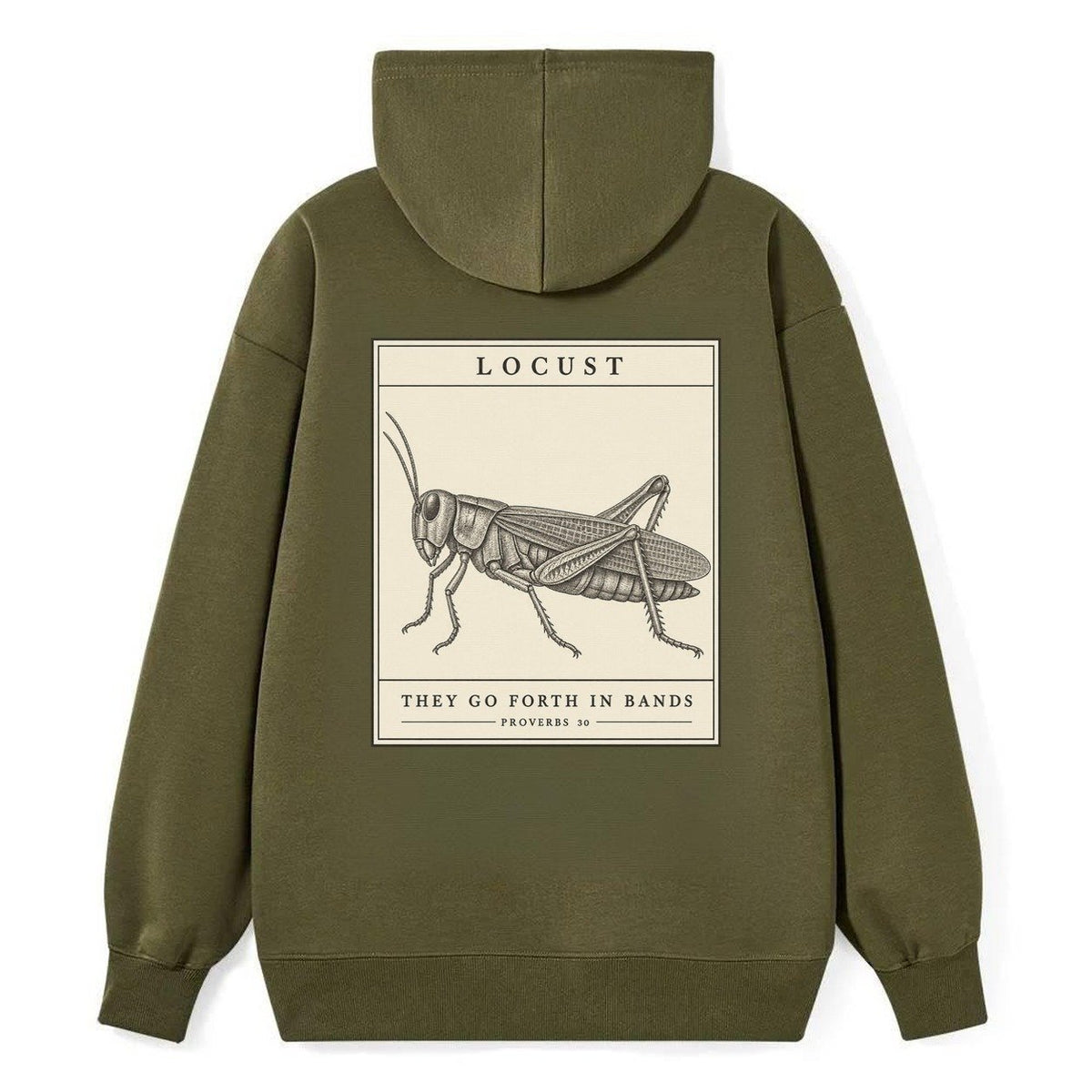 Locust Specimen Plate Creature Canticle Classic Pullover Hoodie – Armygreen