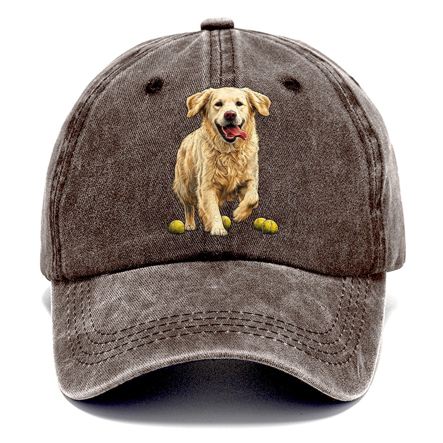 Ball Chaser Classic Cap – Brown