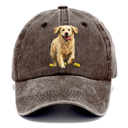 Ball Chaser Classic Cap – Brown