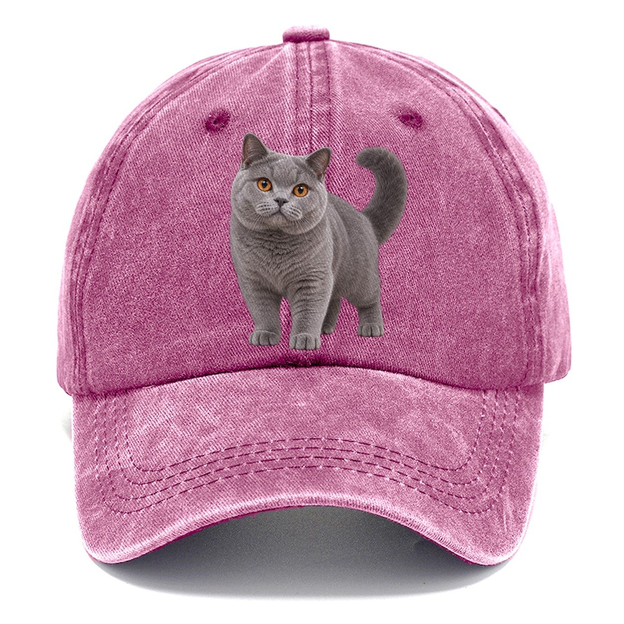 British Shorthair Standing Three Quarter Realistic Cat Portrait Classic Cap – Dusty Rose