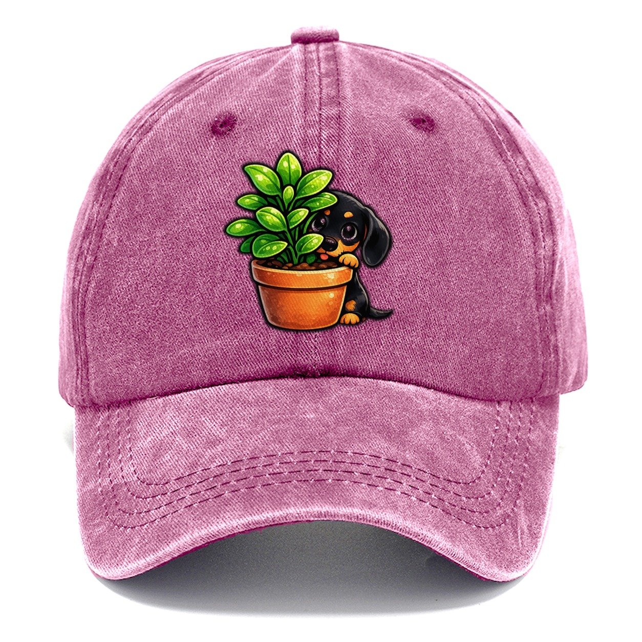 Introvert Dachshund Observing Quietly Classic Cap – Dusty Rose